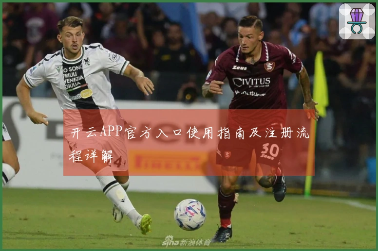 开云APP官方入口使用指南及注册流程详解