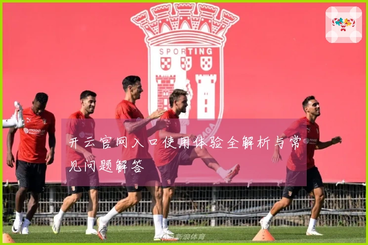 开云官网入口使用体验全解析与常见问题解答